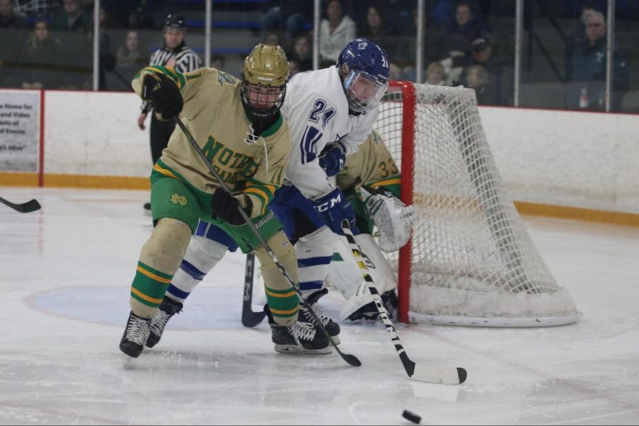 Blue Devils Boys Hockey Season Looks Promising