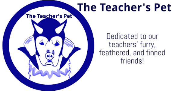 The Teacher's Pet: Shandy and Shyne