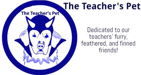 The Teacher’s Pet: Introducing Diablo the Devil- Dog