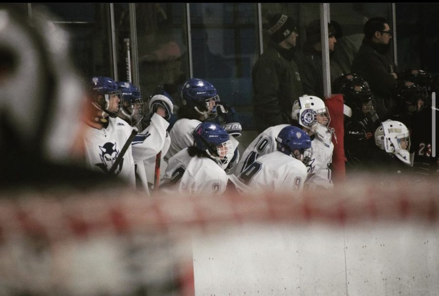 What You Need To Know About the West Haven vs Maine Hockey Game