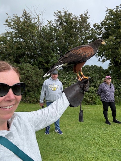 Falconrey Kerry - Erin the hawk