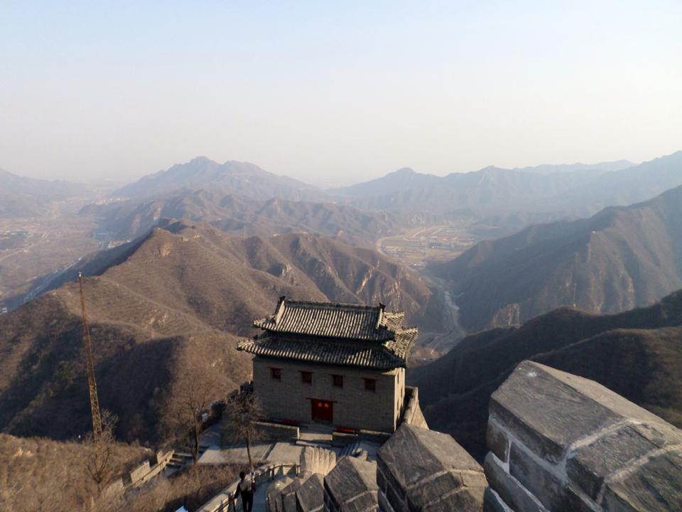 Westies in China