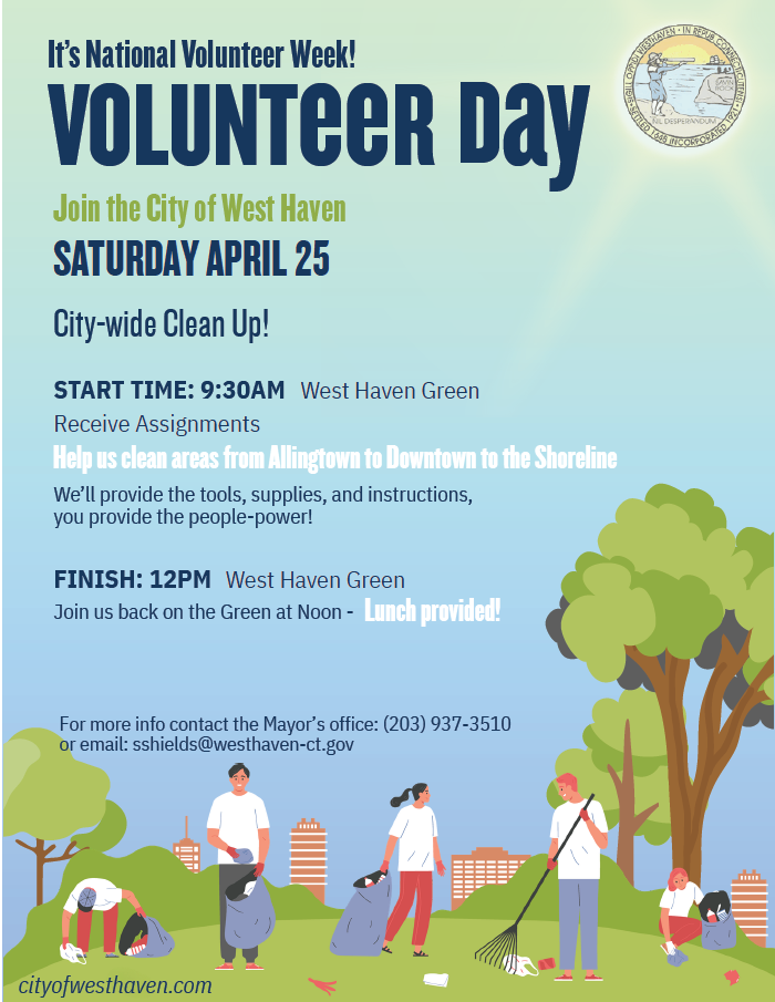 volunteer flier
